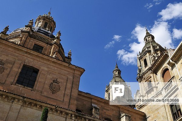 Europa  Spanien  Kastilien und Leon  Salamanca  Blick auf die historische Universität