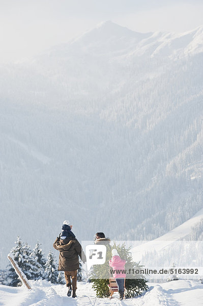 Österreich,  Salzburger Land,  Flachau,  Blick auf Familie mit Weihnachtsbaum und Schlitten im Schnee