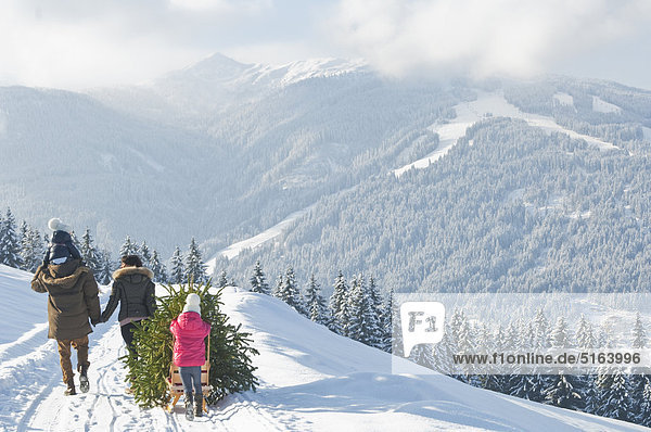 Österreich  Salzburger Land  Flachau  Blick auf Familie mit Weihnachtsbaum und Schlitten im Schnee