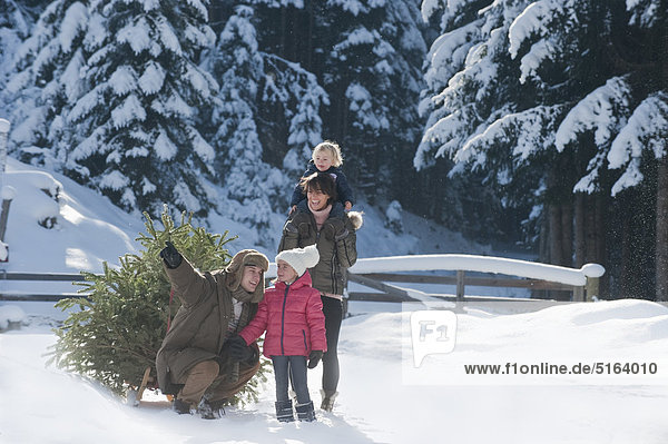 Österreich  Salzburger Land  Flachau  Familienansicht mit Weihnachtsbaum und Schlitten im Schnee
