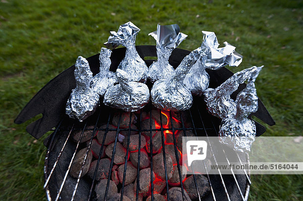 Germany  North Rhine-Westphalia  Düsseldorf  Close up of onions in aluminium foil on grill