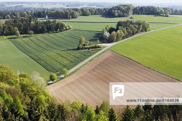 Deutschland  Bayern  Franken  Oberfranken  Fränkische Schweiz  Muggendorf  Blick auf landwirtschaftliche Flächen
