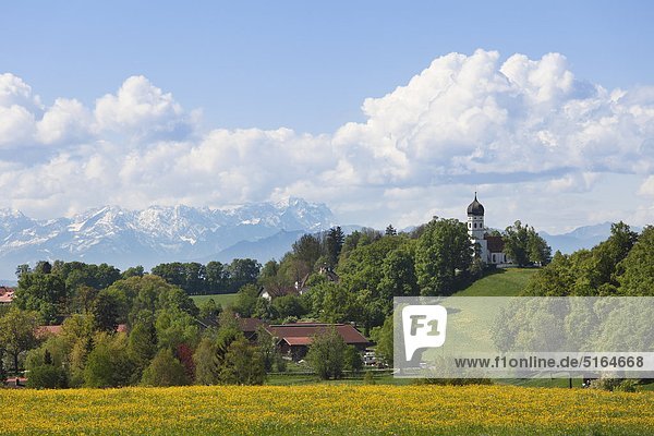 Deutschland  Bayern  Oberbayern  Muensing  Holzhausen  Landschaft mit Alpen und Zugspitze