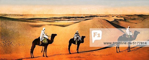 Sand dunes in the desert  old postcard (1900)  Africa