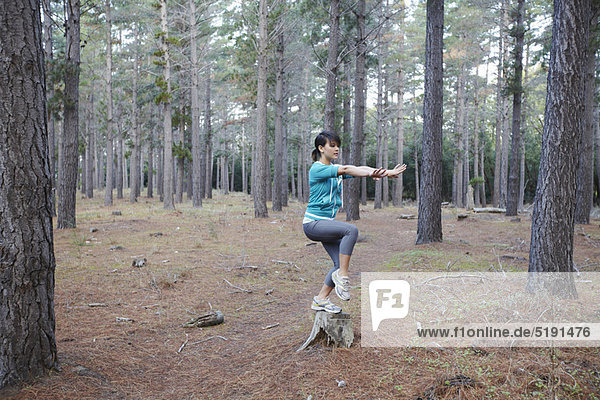Frau  balancieren  Wald  Baumstumpf