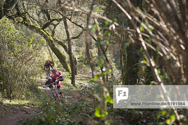 Mountain bikers riding through forest