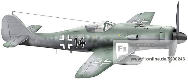 Flugzeugmodell  Altes Jagdflugzeug Focke-Wulf F190 D9