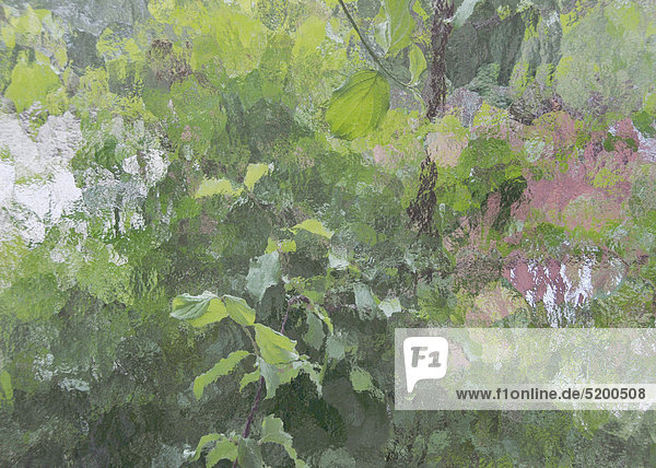 Gemälde  Detail  Zweige und Blätter