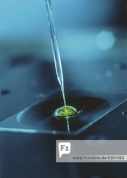 Pipette mit Tropfen auf Glasträger  konfokales Mikroskop  Nanotechnologie