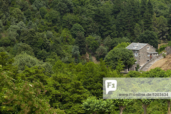 Bauernhaus Venzolasca Korsika Frankreich