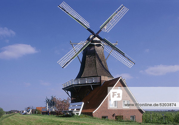 Windmühle  Borstel  Altes Land  Niedersachsen  Deutschland