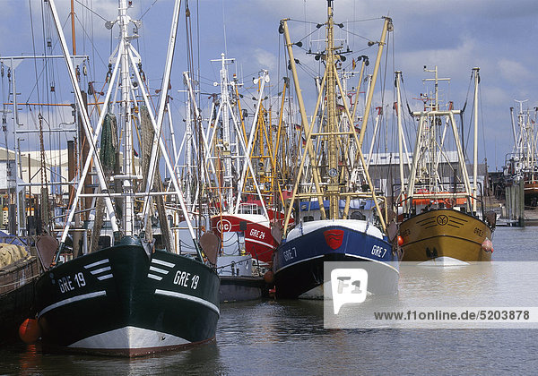 Krabbenkutter  Norddeich  Ostfriesland  Niedersachsen  Deutschland