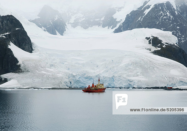 Frachtschiff vor Gletscher  Forschungsstation  Paradise Bay  Antarktis