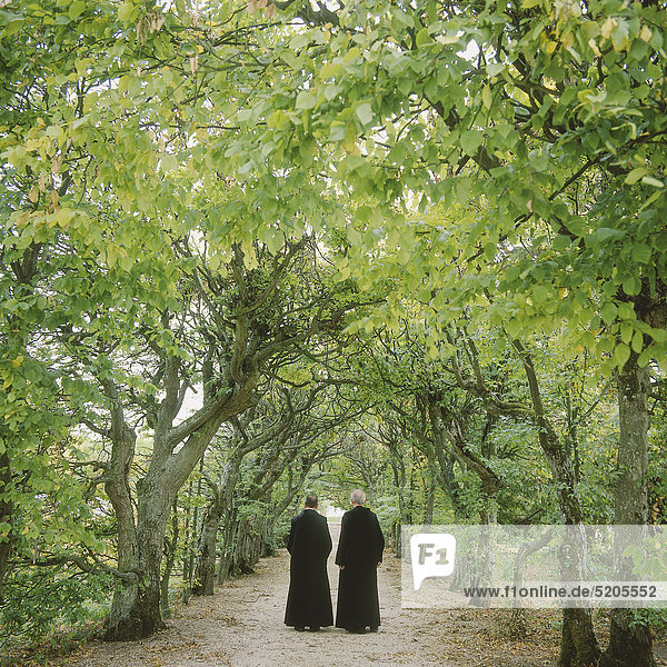 Zwei Mönche gehen durch Allee eines Gartens