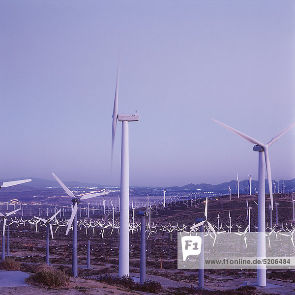 Großer Windpark abends Kalifornien USA