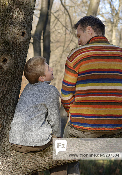 Vater sitzt mit Sohn auf Baum in herbstlichem Park  von hinten
