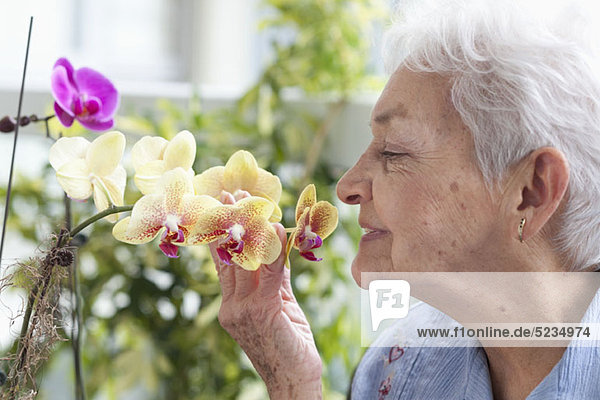 Eine ältere Frau  die Orchideen riecht.