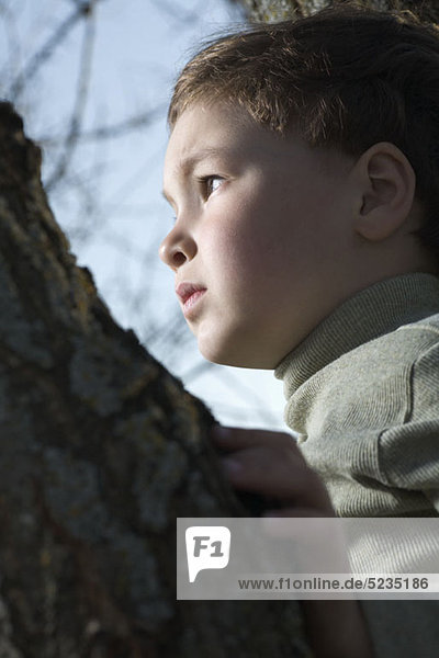 Ein Junge in einem Baum  der in die Ferne schaut.
