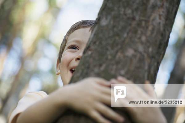 Ein kleiner Junge umarmt einen Baum  Nahaufnahme