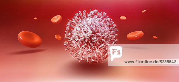 Influenzavirus-Partikel umgeben von schwimmenden roten Blutkörperchen