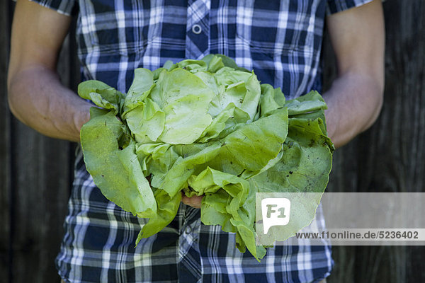 Mann halten Salat