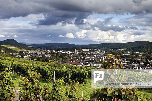 Europa  Deutschland  Rheinland-Pfalz  Bad Neuenahr-Ahrweiler  Rotweinwanderweg mit Trauben im Weinberg