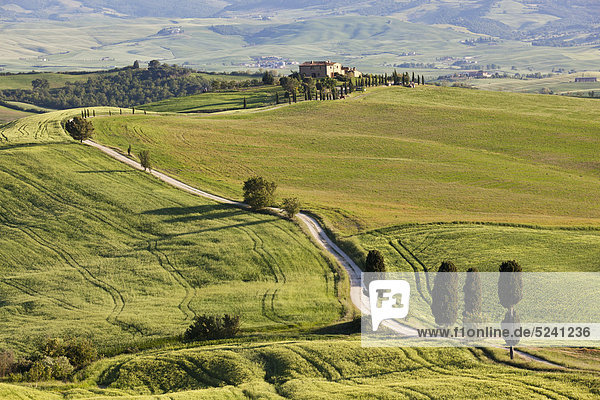 Italien  Toskana  Val d'Orcia  Blick auf Hügellandschaft und Bauernhof mit Zypressen