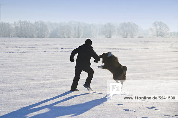 Boy playing with australian shepherd in snow