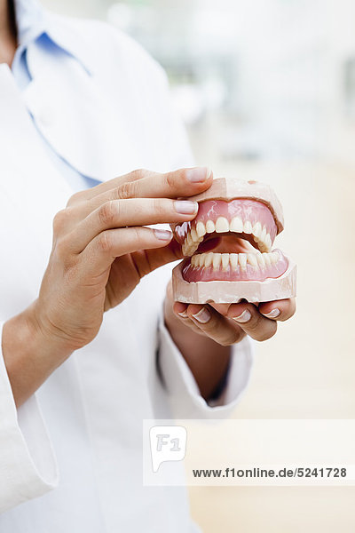 Germany  Bavaria  Diessen am Ammersee  Young doctor exhibiting dentures  close up