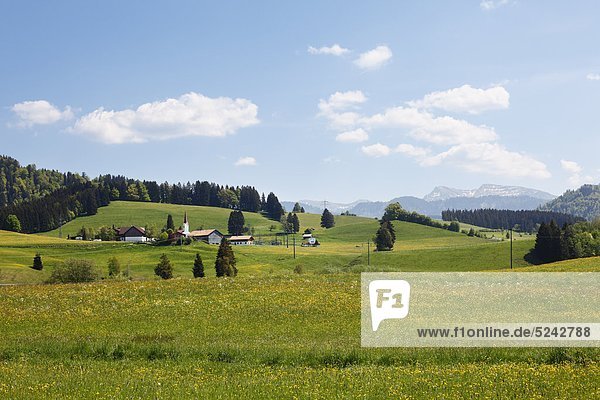 Deutschland  Bayern  Schwaben  Allgäu  Oberallgäu  Oberstaufen  Zell  Dorfansicht mit Wiese