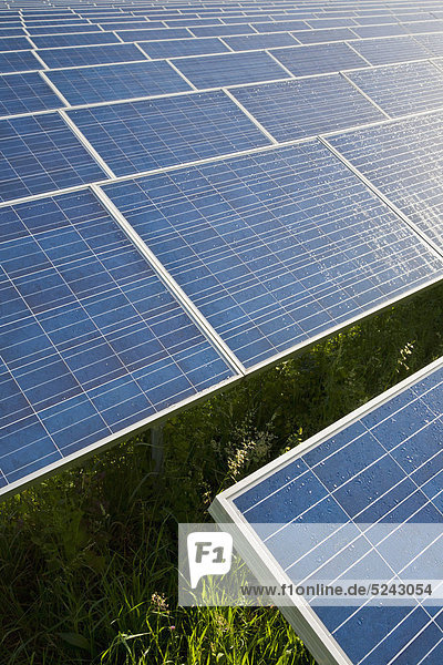 Deutschland  Baden-Württemberg  Winnenden  Blick auf eine große Anzahl von Solarmodulen im Solarkraftwerksbereich