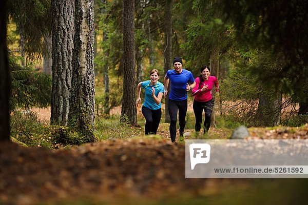 Young people jogging in forest