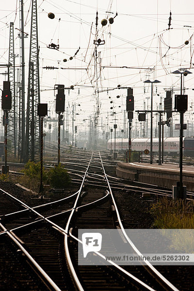 Bahngleise  Frankfurt  Deutschland