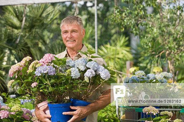 Senior Man mit Topfpflanzen an Gartencenter