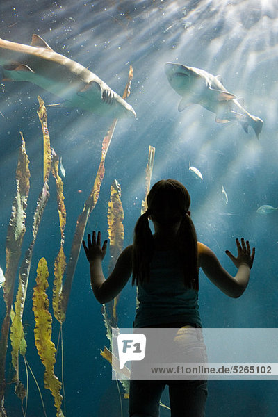 Mädchen beobachtet Haie im Aquarium
