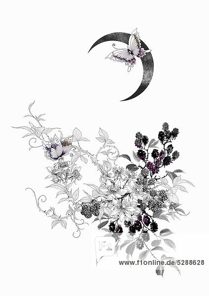 Blackberry bush and butterflies under crescent moon