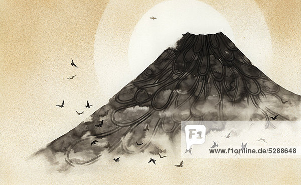 Birds flying over misty volcano mountain
