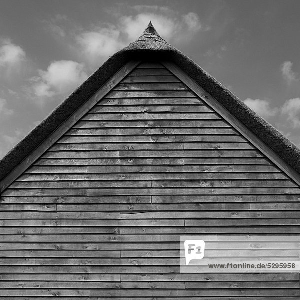 Thatched roof of barn