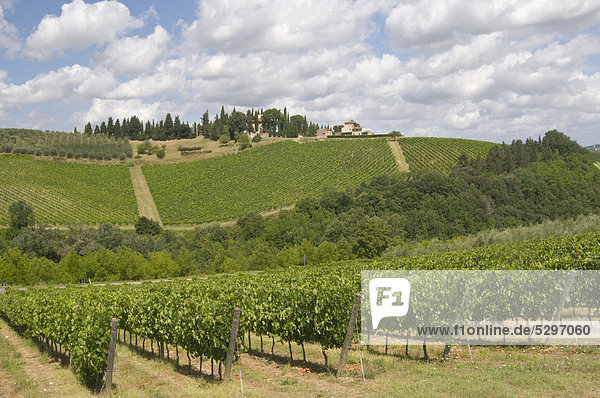 Countryside in the Chianti region  Tuscany  Italy  Europe
