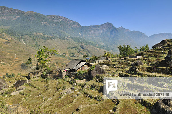 Houses  rice farmers  rice terraces  rice paddies near Sapa  Sa Pa  Lao Cai province  northern Vietnam  Vietnam  Southeast Asia  Asia