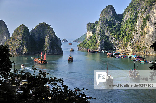 Boats and junks in Halong Bay  karst mountains in the sea  Vietnam  Asia
