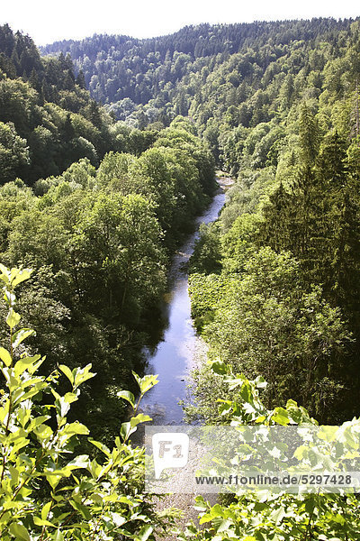 The Wutach River flowing through the broad Kerbsohlental valley in the Wutach Gorge Nature Reserve  Black Forest  Baden-Wuerttemberg  Germany  Europe