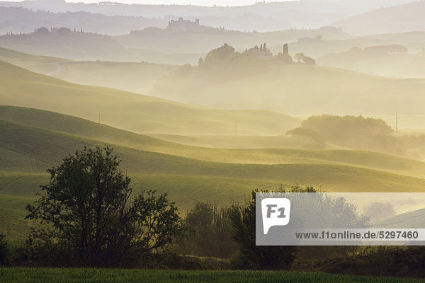Landscape in the morning mist  Asciano  Tuscany  Italy  Europe