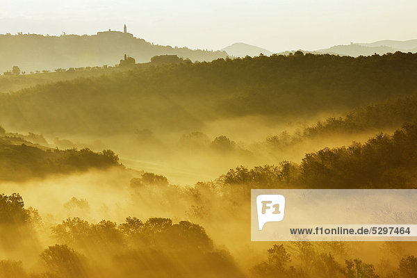 Landscape in the morning fog  San Quirico  Val d'Orcia  Tuscany  Italy  Europe