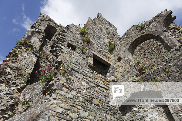 King John's Castle  Carlingford  Cooley Peninsula  County Louth  Republic of Ireland  Europe