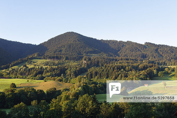 Mt. Hoernle in Bad Kohlgru  Ammer mountains  Upper Bavaria  Bavaria  Germany  Europe  PublicGround