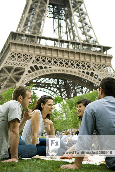 Touristen beim Picknick am Eiffelturm  Paris  Frankreich