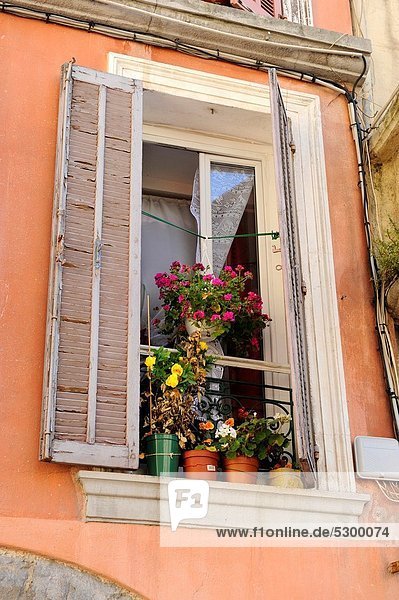 Windows Shutters Flowers Toulon France French Riviera Mediterranean Europe Harbor