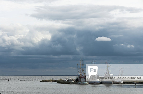 Alte Fischkutter bereit zum Abwracken  Hvide Sande  Westjütland  Dänemark  Europa