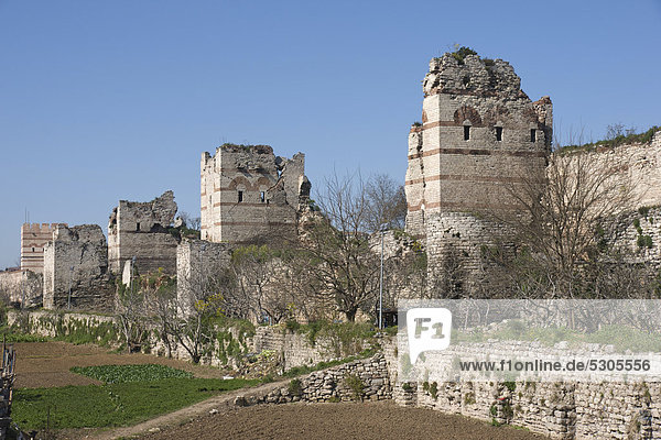 Theodosianische Landmauer zwischen der Haci Hamza Mektebi Sokak und der Silivricapi Caddesi  Istanbul  Türkei